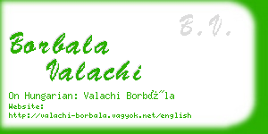 borbala valachi business card